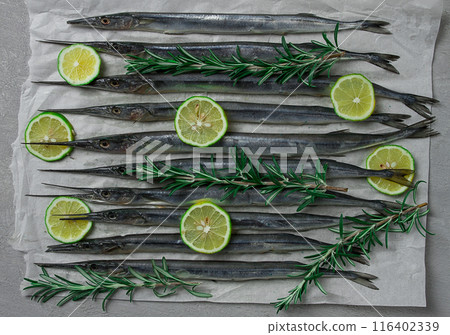Fresh, Black Sea fish. raw, sargan, sea pike, top view, no people, Fresh, Black Sea fish. raw, sargan, sea pike, top view, no people, 116402339