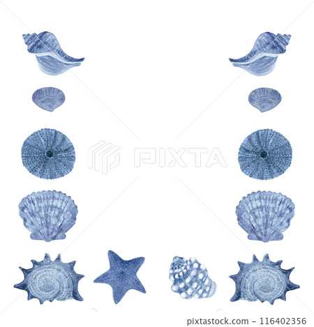 Shell frame monochrome in blue watercolor hand-drawn isolated on white. High quality illustration for notebooks, cards, posters, restaurant menu, souvenirs, stickers, tourism ads, dishes, room decor 116402356