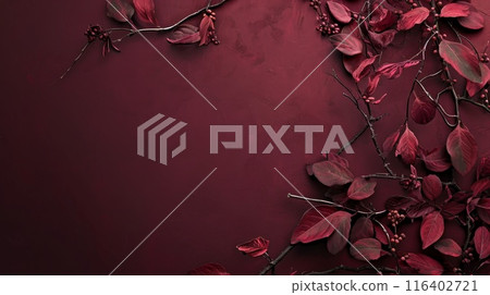 Maroon leaves on red background 116402721