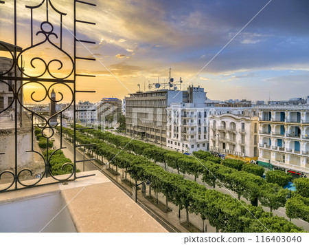 突尼斯 — 突尼斯新城的主要街道沐浴在日出中 / 突尼斯，突尼斯 116403040