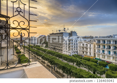 突尼斯 — 突尼斯新城的主要街道沐浴在日出中 / 突尼斯，突尼斯 116403041