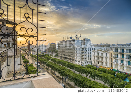 突尼斯 — 突尼斯新城的主要街道沐浴在日出中 / 突尼斯，突尼斯 116403042