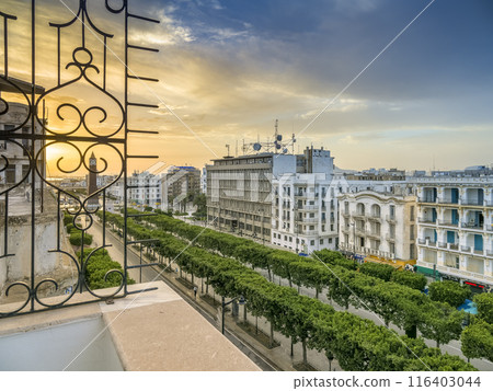A main street in the new town of Tunis, Tunisia, illuminated by the morning glow 116403044