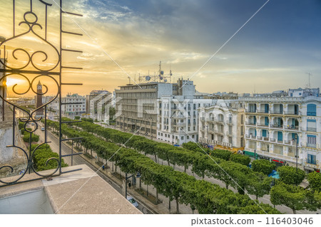 突尼斯新城的主要街道被早晨的陽光照亮/突尼斯，突尼斯 116403046