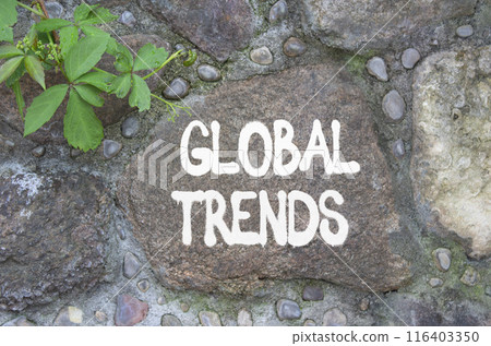 Global Trends symbol. Stone wall with words Global Trends. Beautiful stone background. Business and Global Trends concept. Copy space. Global Trends symbol. Stone wall with words Global Trends. Beautiful stone background. Business and Global Trends concept. Copy space. 116403350