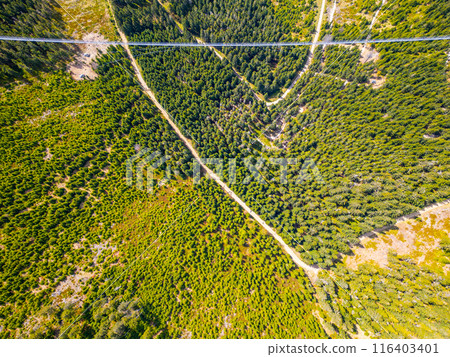 An aerial view of the forest surrounding the Sky Bridge 721 in Czechia. The bridge, a long, white line, stretches across the dense forest, connecting two mountain peaks. An aerial view of the forest surrounding the Sky Bridge 721 in Czechia. The bridge, a long, white line, stretches across the dense forest, connecting two mountain peaks. 116403401