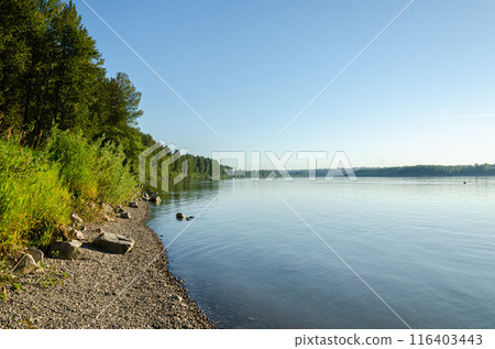 Fraser River at Matsqui, Mission, BC, Canada 116403443