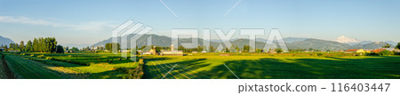 Incredible natural beauty of Mission, Fraser Valley, BC, Canada Incredible natural beauty of Mission, Fraser Valley, BC, Canada 116403447