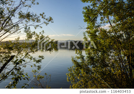 Fraser River at Matsqui, Mission, BC, Canada 116403453