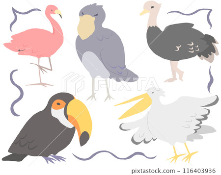 強大的鳥類 116403936