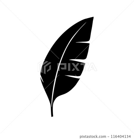 Palm summer tropical leaf silhouette icon. Jungle plant black tree foliage isolated palm exotic leaf 116404134