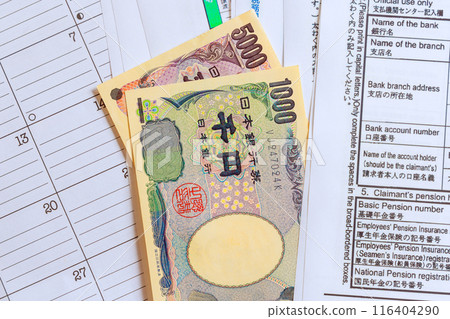 It is required to submit an application for Japanese income tax with Japanese money yen currency during pay tax period. 116404290