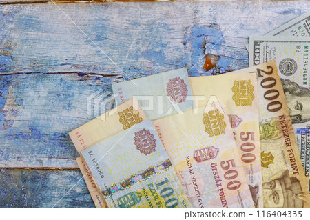 US dollar cash Hungarian forint banknotes exchange rate. 116404335