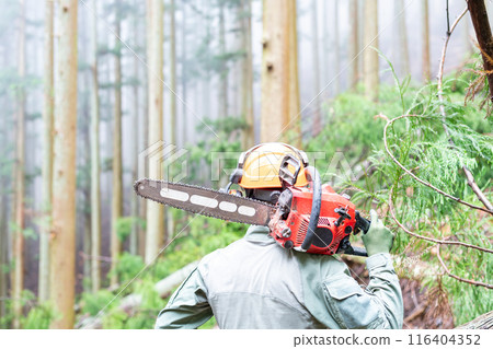 一名男性林業工人在完成伐木工作後檢查伐木工作的結果。 一名男性林業工人在完成伐木工作後檢查伐木工作的結果。 116404352