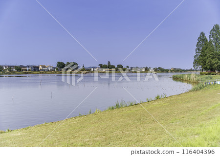 Tsutsujigaoka Park, Tatebayashi City, Castle Pond and Tsutsujigaoka Park, Tatebayashi City, Castle Pond and 116404396