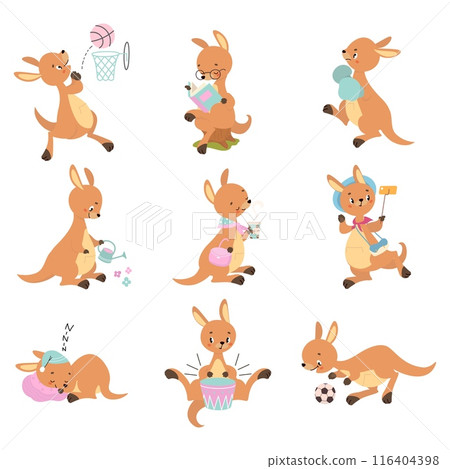 Cartoon kangaroo. Cute kangaroo activities, reading play ball boxing and gardening. Wild australian animal sleeping and drink coffee, nowaday vector characters 116404398
