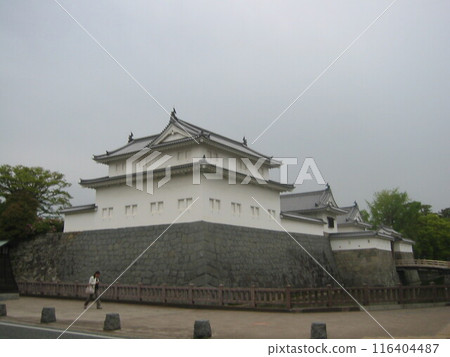 2011，靜岡，葵區，風景，城堡，第 1 部分 116404487