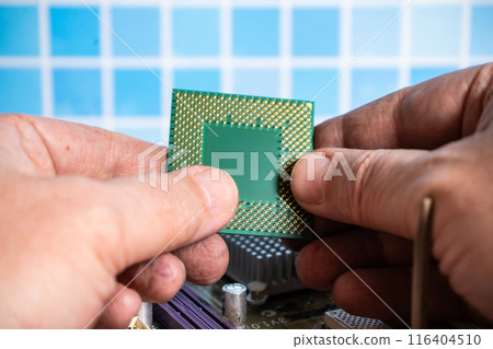 Computer technician checking the contacts of a microprocessor 116404510