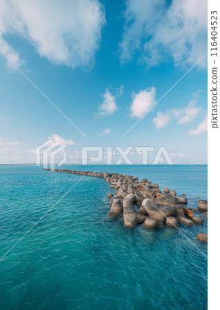 與四足動物的海岸 116404523