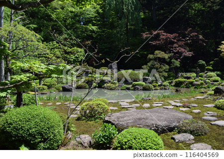 Beautiful Japanese garden Beautiful Japanese garden 116404569