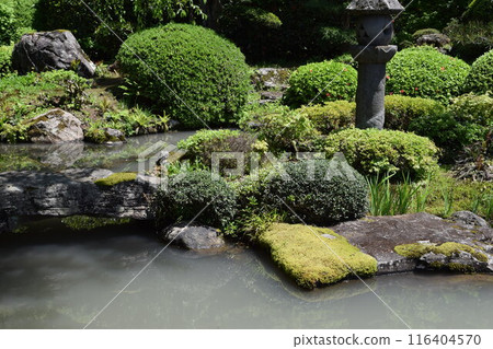 Beautiful Japanese garden Beautiful Japanese garden 116404570