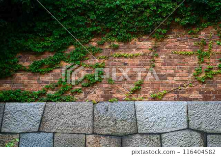 磚牆，石牆，綠色 116404582