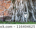 泰國大城府帕瑪哈泰寺遺址 116404625