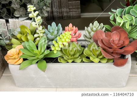 a rectangular planter filled with a variety of colorful and vibrant succulent plants a rectangular planter filled with a variety of colorful and vibrant succulent plants 116404710