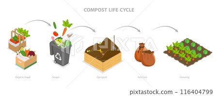 3D Isometric Flat  Illustration of Compost Life Cycle, Sustainable Organic Rubbish and Waste Management 116404799