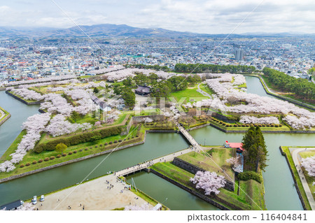 春天的北海道函館市，五稜郭公園櫻花盛開，從五稜郭塔上眺望 116404841