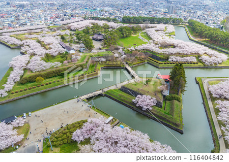 春天的北海道函館市,五稜郭公園櫻花盛開,從五稜郭塔上眺望 春天的北海道函館市,五稜郭公園櫻花盛開,從五稜郭塔上眺望 116404842