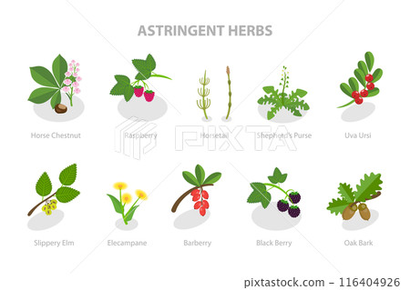 3D Isometric Flat  Set of Astringent Herbs, Natural Herbal Remedy 116404926