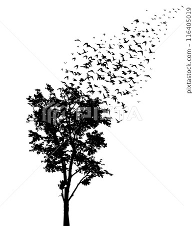 Tree silhouette and flying birds. hand drawing. Not AI Vector Tree silhouette and flying birds. hand drawing. Not AI Vector 116405019