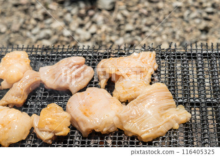 [Solo camping at the auto campground Grilling white offal on a net]　 116405325