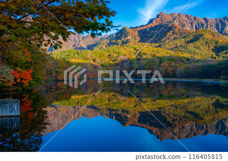 [秋天的素材]秋天的戶隱高原鏡池[長野縣] 116405815