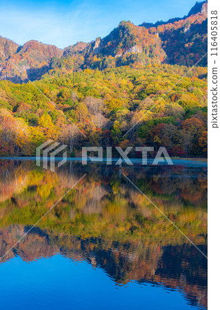[Autumn material] Autumn Togakushi Plateau Kagamiike [Nagano Prefecture] 116405818