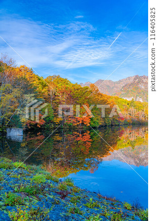[Autumn material] Autumn Togakushi Plateau Kagamiike [Nagano Prefecture] 116405825
