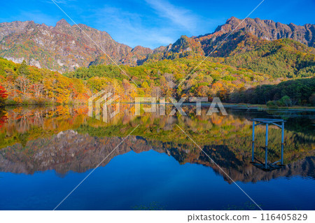 [Autumn material] Autumn Togakushi Plateau Kagamiike [Nagano Prefecture] 116405829