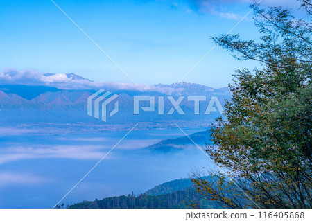 [雲海素材]秋天從長峰山看到的松本平雲海[長野縣] 116405868