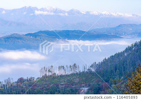[雲海素材]秋天從長峰山看到的松本平雲海[長野縣] 116405893