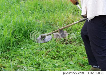 一個男人在農田割草 一個男人在農田割草 116406036
