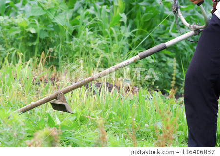 A man mowing the grass on farmland 116406037