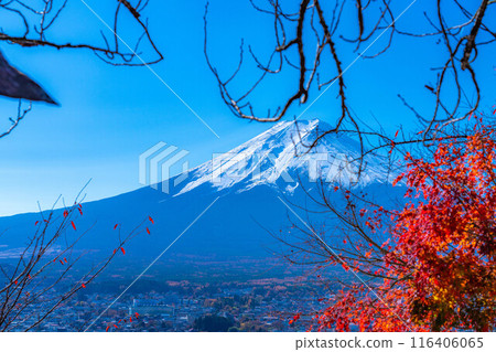 [Mt. Fuji material] Arakurayama Sengen Park during autumn leaves season [Yamanashi Prefecture] 116406065