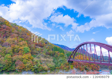 [Autumn material] Autumn leaves of Okususobana Valley [Nagano Prefecture] 116406079