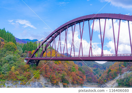 [Autumn material] Autumn leaves of Okususobana Valley [Nagano Prefecture] 116406080