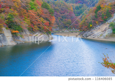 [秋天的材料]奧須花溪谷的紅葉[長野縣] 116406085