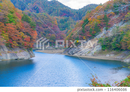 [Autumn material] Autumn leaves of Okususobana Valley [Nagano Prefecture] 116406086