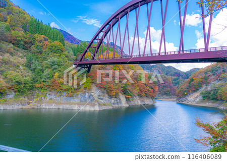 [Autumn material] Autumn leaves of Okususobana Valley [Nagano Prefecture] 116406089