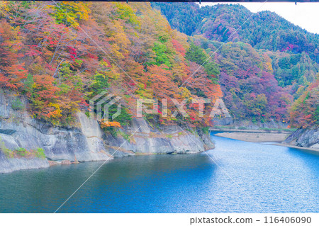[Autumn material] Autumn leaves of Okususobana Valley [Nagano Prefecture] 116406090