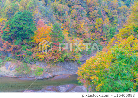 [Autumn material] Autumn leaves of Okususobana Valley [Nagano Prefecture] 116406098